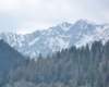 p1000231_small.jpg
