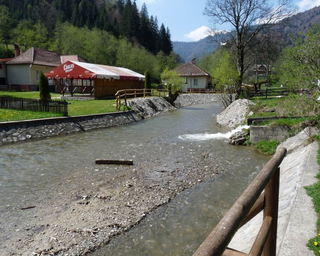 p1000249.jpg