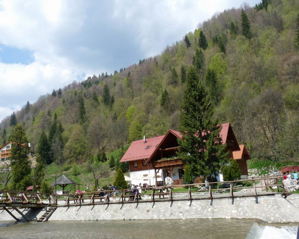 p1000253.jpg
