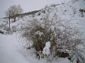 DSC06139