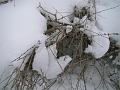 DSC06140