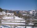 DSC06295