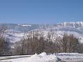 DSC06356