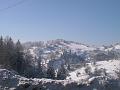 DSC06357