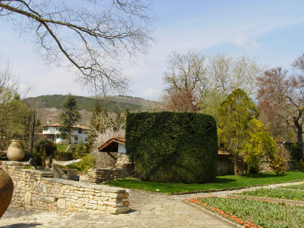 HPIM7708.JPG
