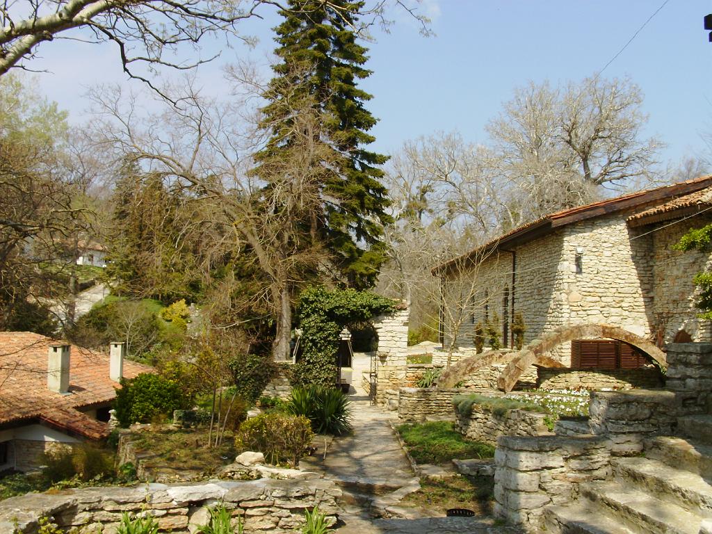 HPIM7720.JPG