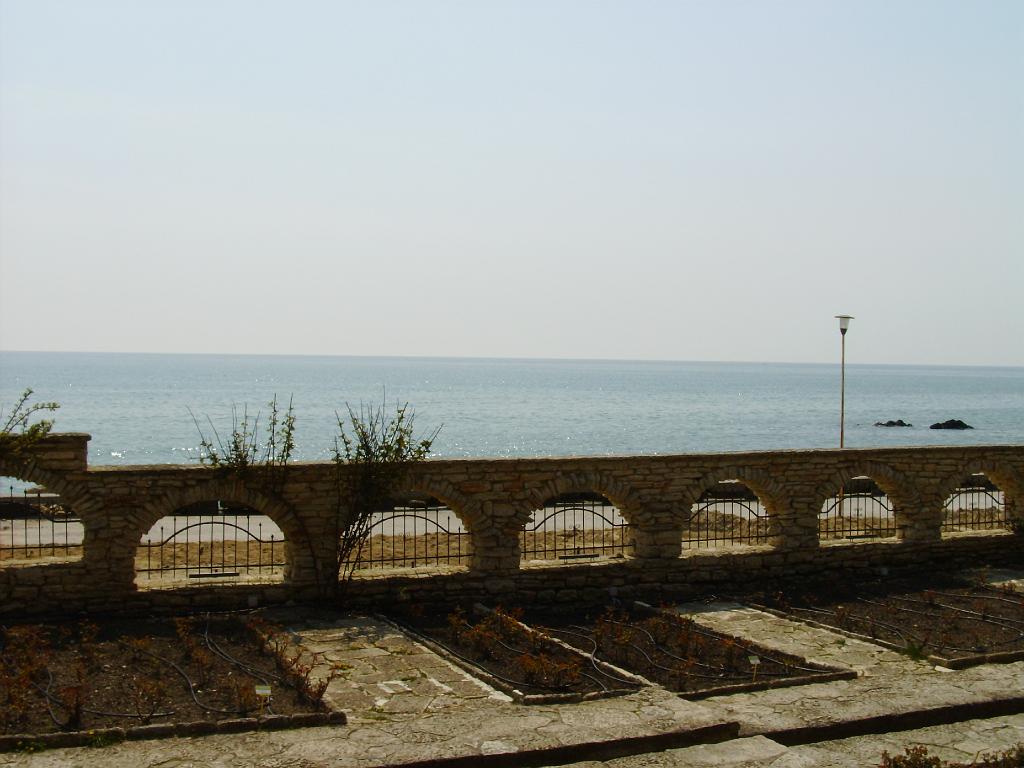 HPIM7736.JPG