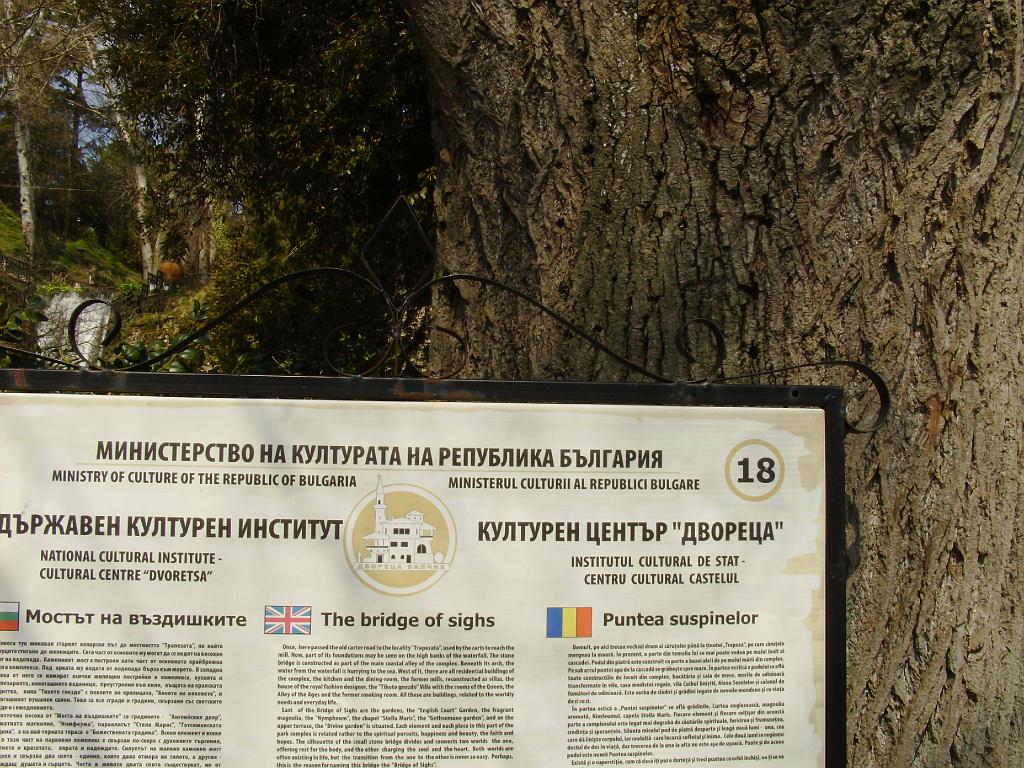 HPIM7793.JPG