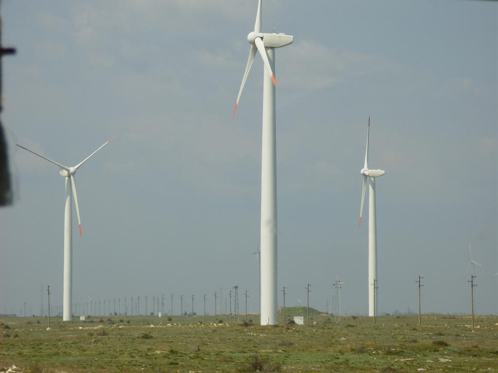 HPIM7854.JPG