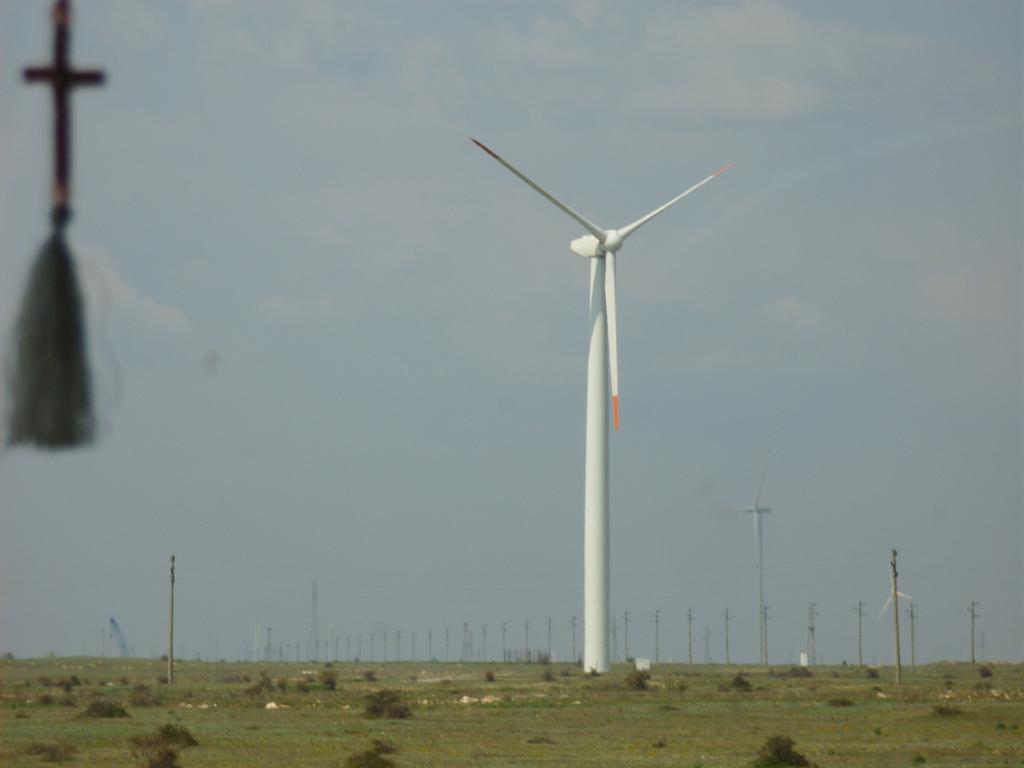 HPIM7855.JPG