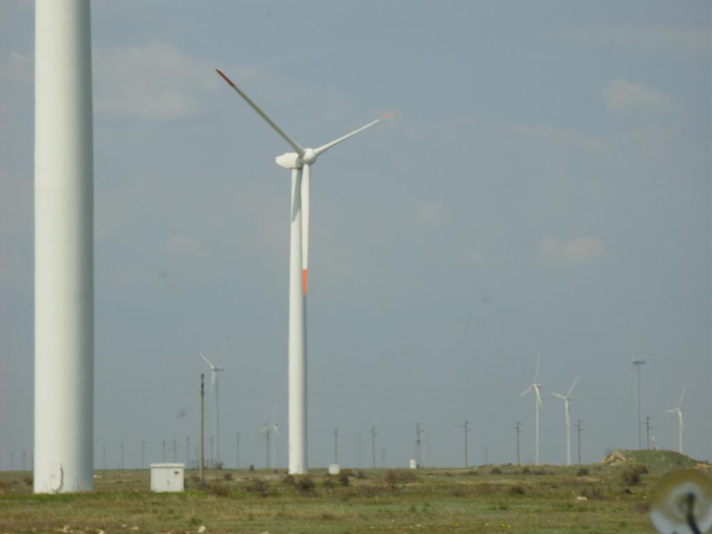 HPIM7856.JPG