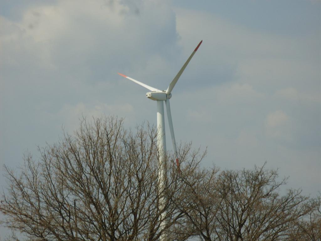 HPIM7857.JPG