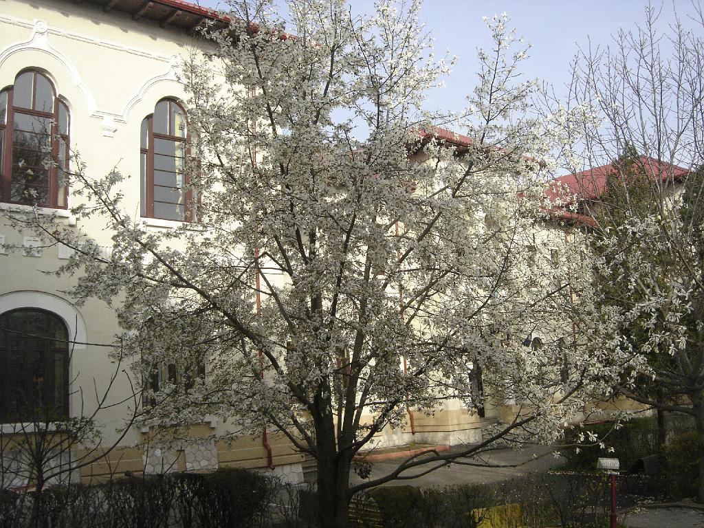 DSC03787.JPG
