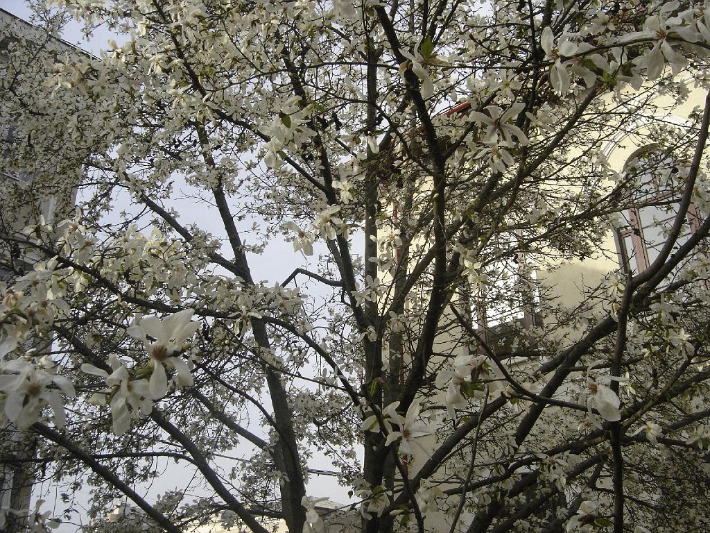 DSC03789.JPG