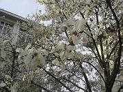 DSC03790