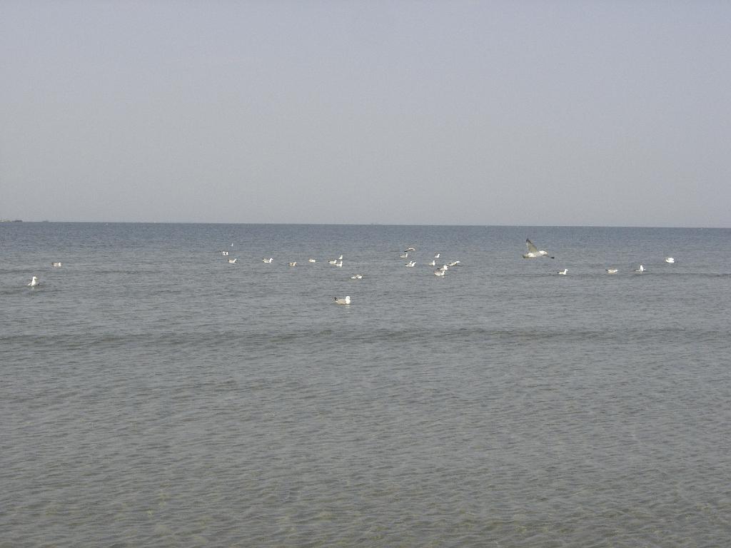 DSC03941.JPG