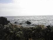 DSC03949