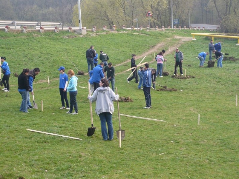 p1070190.jpg