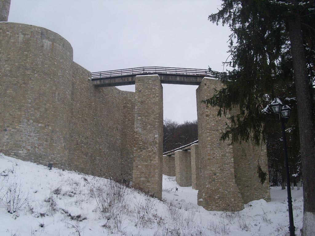 IMG_5077.JPG