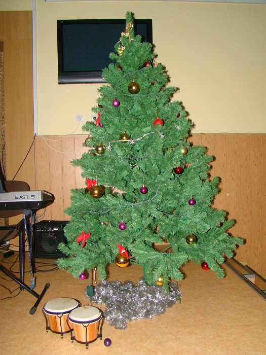 DSC08767