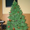 DSC08767
