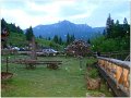 DSC01481