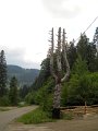 DSCN0520