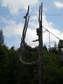 DSCN0523