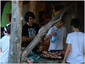 DSC01456