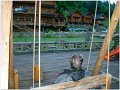 DSC01470