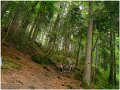 DSC01401