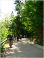 DSC01293