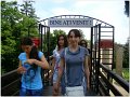 DSC01318