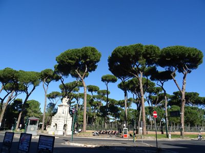 DSC00397