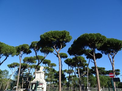 DSC00398