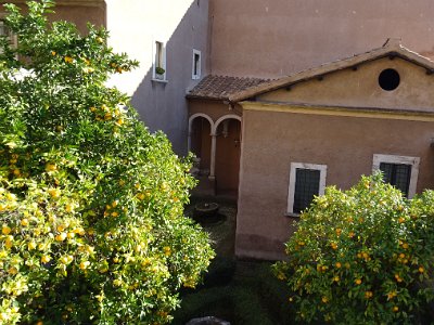 DSC00409 1