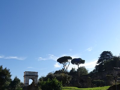 DSC00477